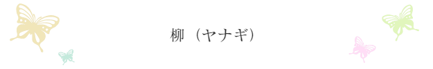 yanagi